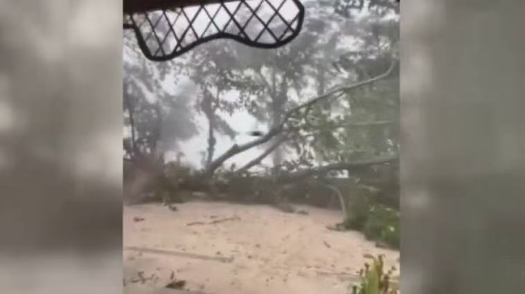 果博东方福布斯公司风暴“韦帕”肆虐普吉 中国游客出现伤亡(图4)